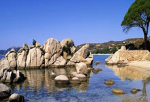 1371带你领略上海后花园如画风光